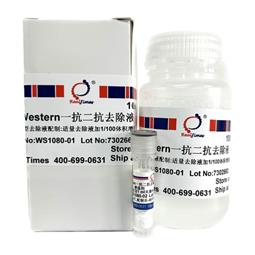Western一抗二抗去除液（中性，劇烈型）